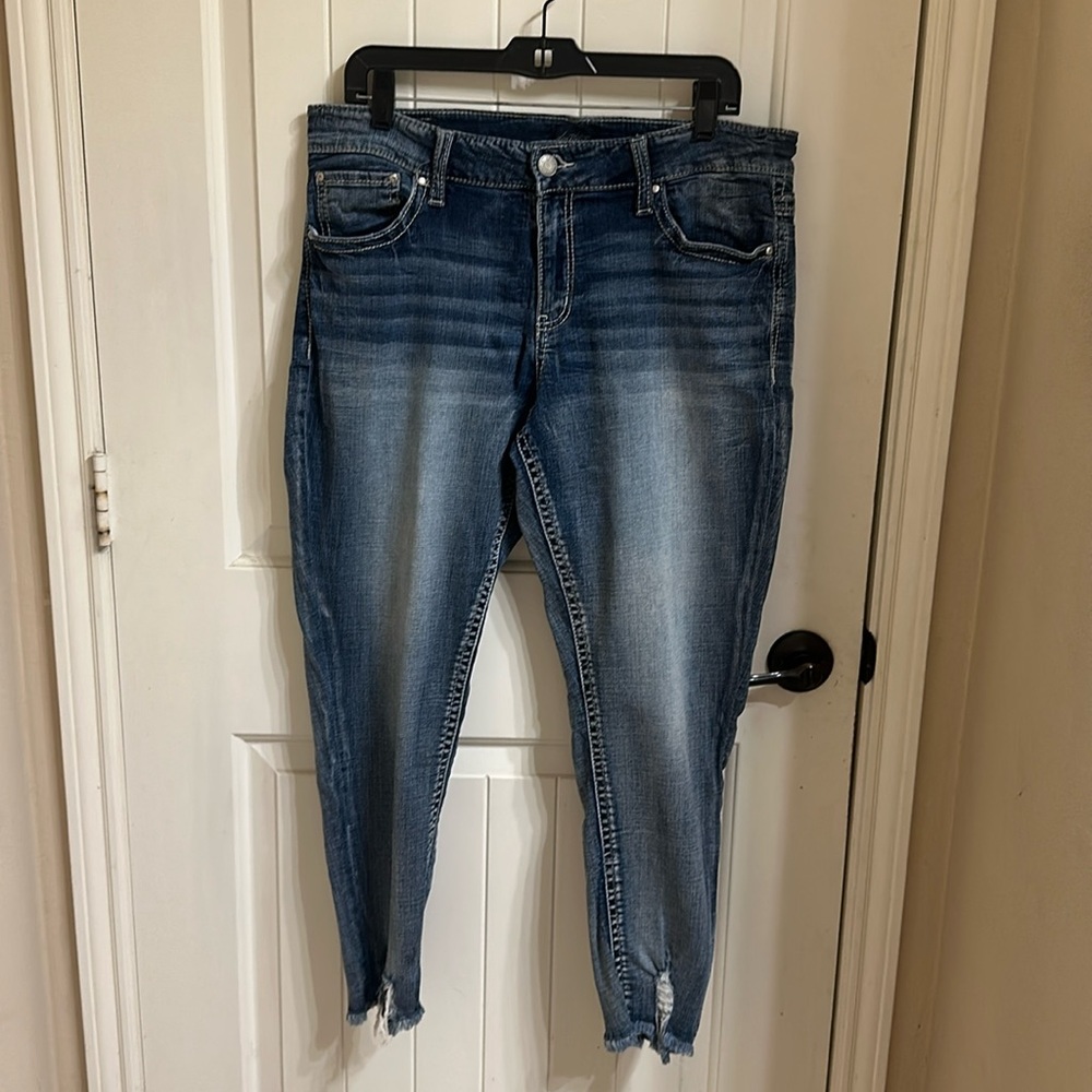 Daytrip Size 34 “Virgo” Ankle Skinny Jeans